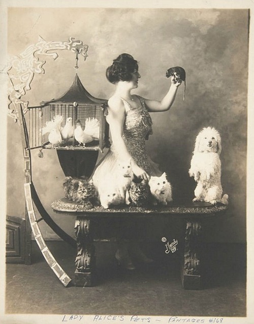 Woman posed with several pets