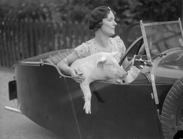 Woman with pig in car