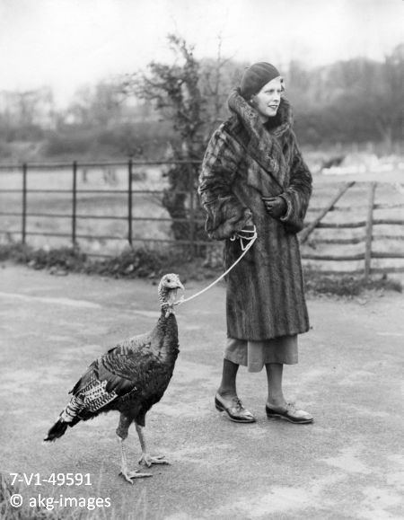 Woman walking a turkey