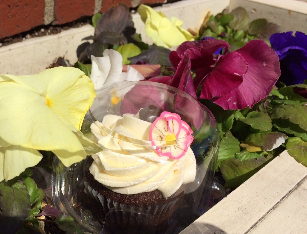 pansy cupcake, Newburyport MA